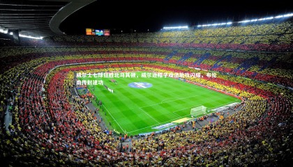 ng体育官网-威尔士七球狂胜北马其顿，威尔逊帽子戏法助攻闪耀，布伦南传射建功